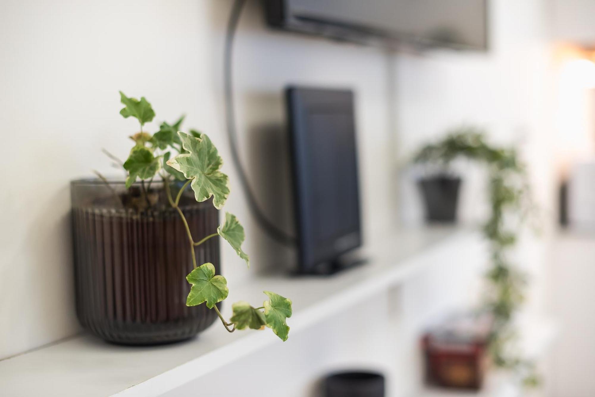 Modern Apartment 200M From Acropolis 100Mbps Netflix Athen Eksteriør bilde