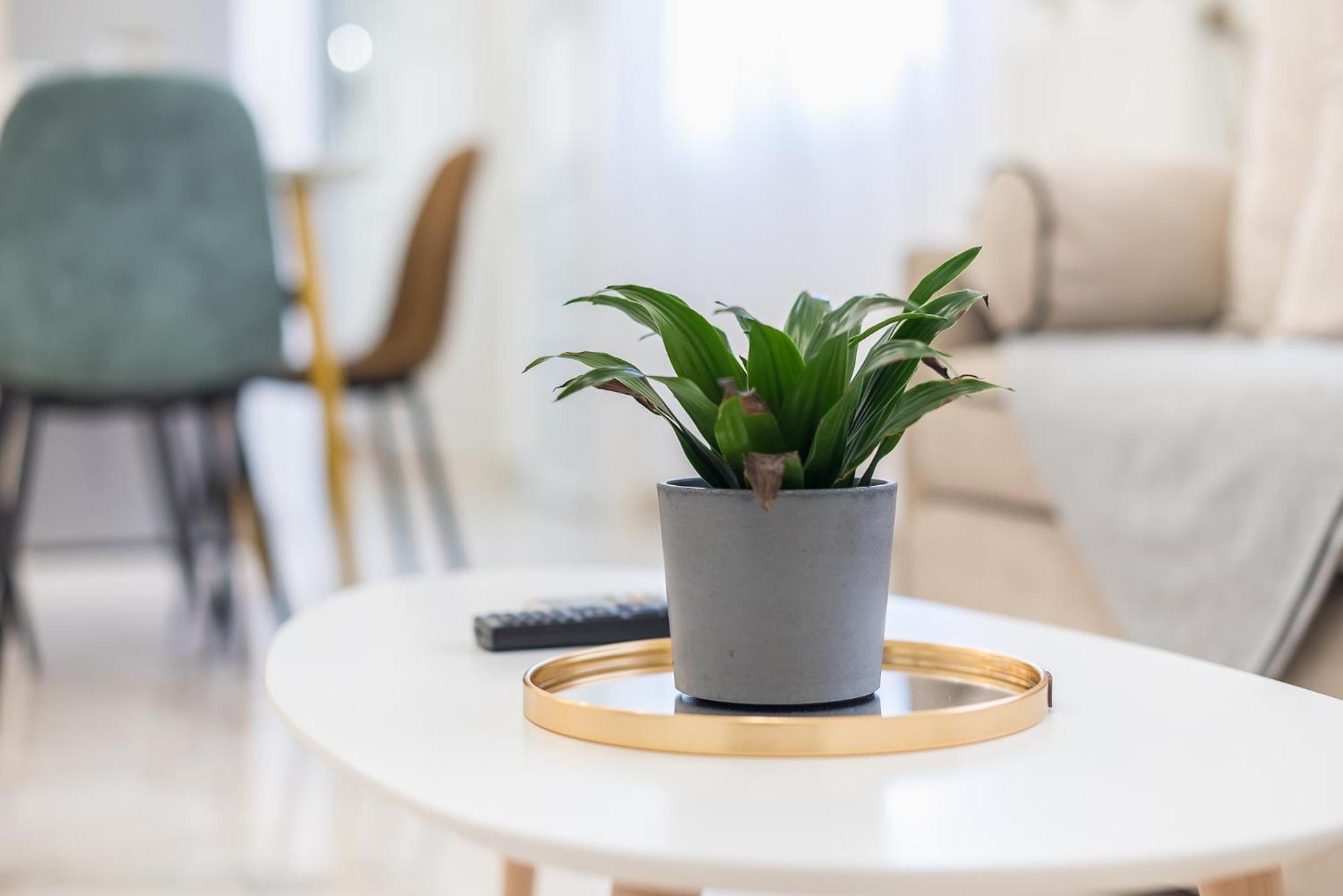 Modern Apartment 200M From Acropolis 100Mbps Netflix Athen Eksteriør bilde